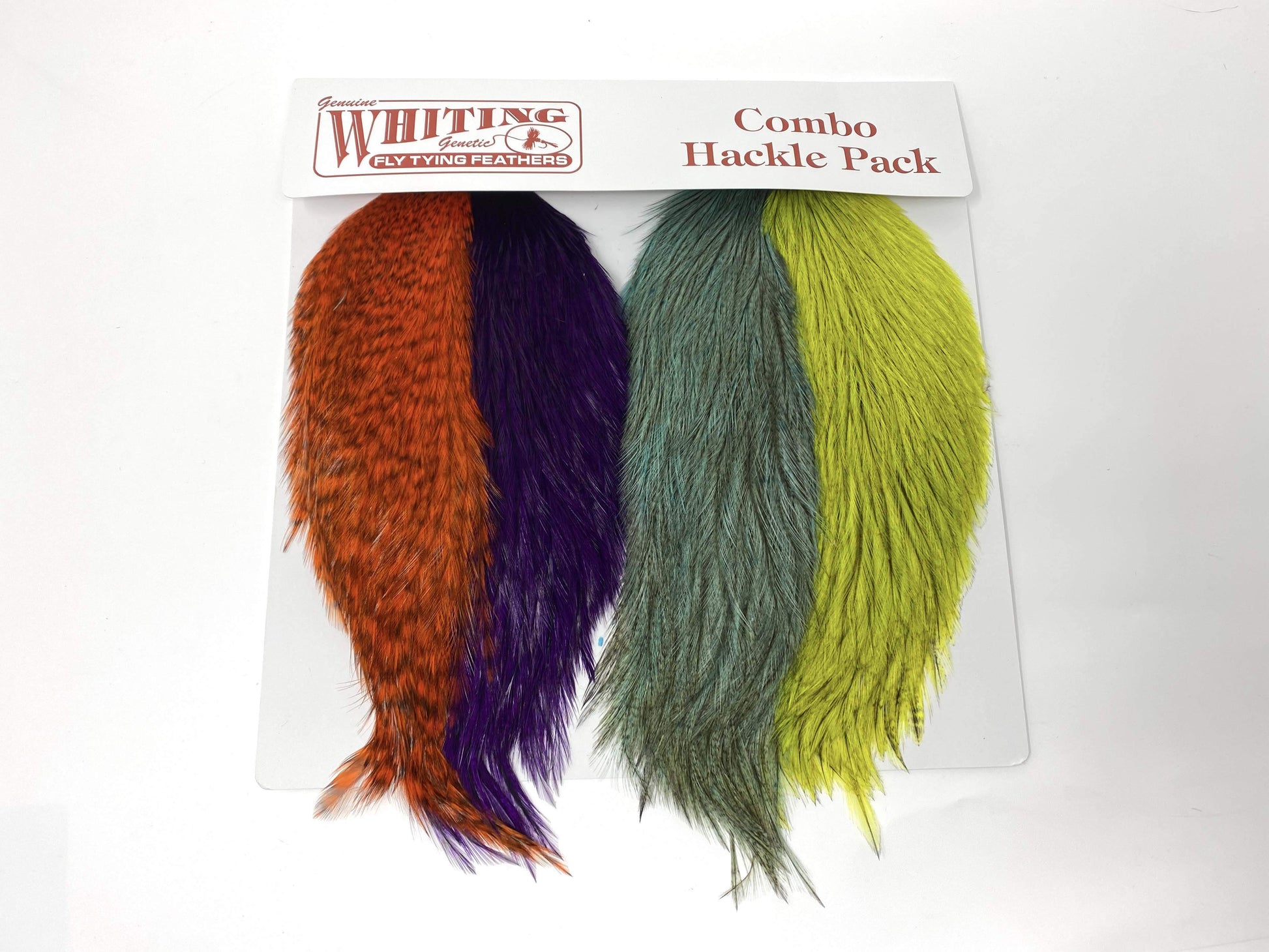 Whiting Coq de Leon Versa Pack, Intro Combo, 4 1/2 Capes