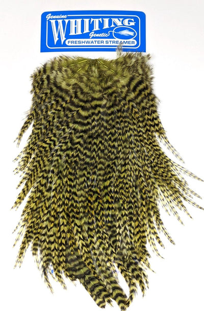 Whiting Freshwater Streamer Saddle Grizzly Dyed Olive Saddle Hackle, Hen Hackle, Asst. Feathers
