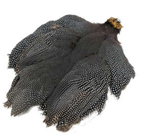 Whiting Guinea Fowl Medium Natural Gray Speckled Saddle Hackle, Hen Hackle, Asst. Feathers