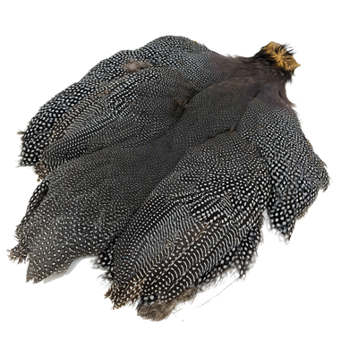 Whiting Guinea Fowl Medium Natural Gray Speckled Saddle Hackle, Hen Hackle, Asst. Feathers
