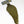 Whiting High and Dry Hackle Cape Grizzly Dyed Olive Saddle Hackle, Hen Hackle, Asst. Feathers