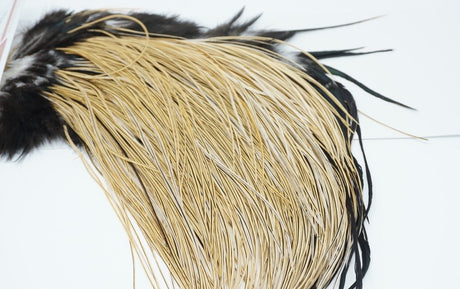 Whiting Pro Grade Saddle Dry Fly Hackle