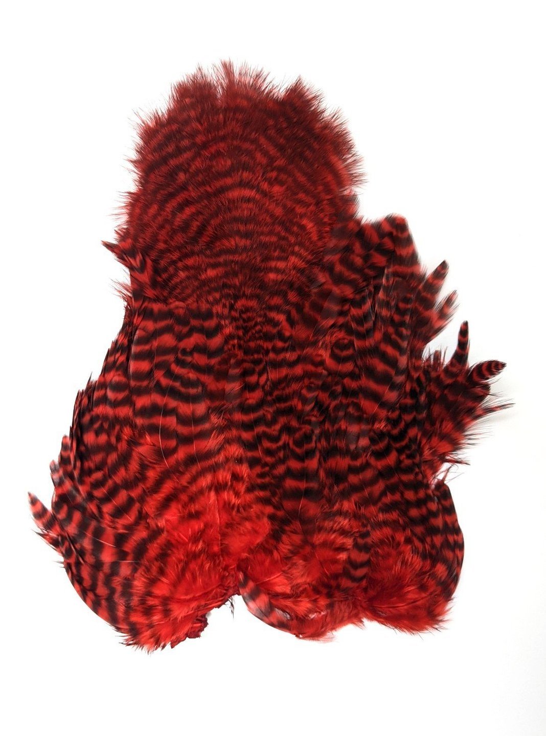 Whiting Rooster Soft Hackle with Chickabou – Dakota Angler & Outfitter