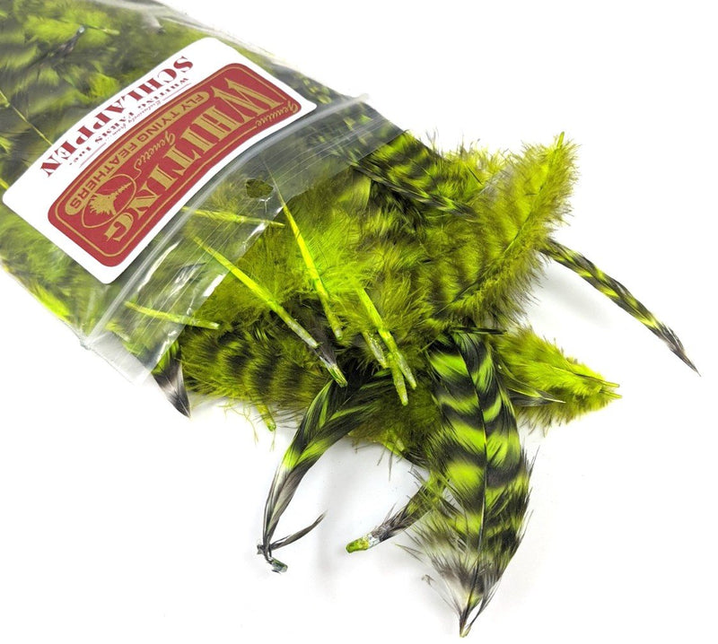 Whiting Schlappen Pack 1/4 Ounce Grizzly/Fl Green Chartreuse Saddle Hackle, Hen Hackle, Asst. Feathers