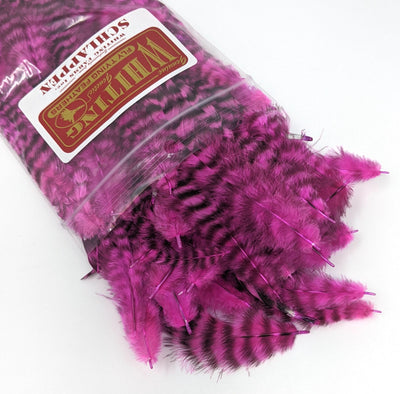 Whiting Schlappen Pack 1/4 Ounce Grizzly/Pink (Plus) Saddle Hackle, Hen Hackle, Asst. Feathers
