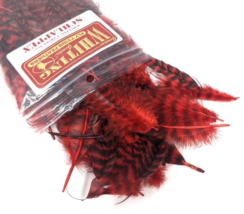 Whiting Schlappen Pack 1/4 Ounce Grizzly/Red Saddle Hackle, Hen Hackle, Asst. Feathers