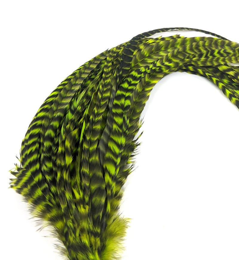 Whiting Schlappen Pack 10-14" Bundle Grizzly/Green Chartreuse Saddle Hackle, Hen Hackle, Asst. Feathers