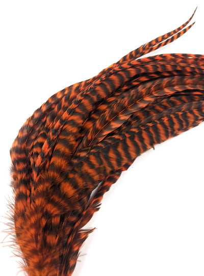 Whiting Schlappen Pack 10-14" Bundle Grizzly/Orange Saddle Hackle, Hen Hackle, Asst. Feathers