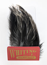 Whiting Tailing Pack Coq De Leon Dark Dun Saddle Hackle, Hen Hackle, Asst. Feathers