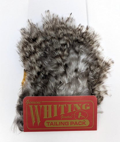 Whiting Tailing Pack Coq De Leon Grizzly Pardo Saddle Hackle, Hen Hackle, Asst. Feathers