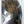 whiting coq de leon tailing pack medium pardo
