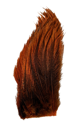 Whiting Tailing Pack Dyed Pardo Burnt Orange Saddle Hackle, Hen Hackle, Asst. Feathers