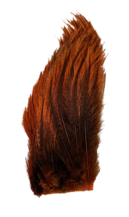 Whiting Tailing Pack Dyed Pardo Burnt Orange Saddle Hackle, Hen Hackle, Asst. Feathers