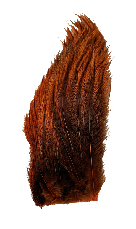 Whiting Tailing Pack Dyed Pardo Burnt Orange Saddle Hackle, Hen Hackle, Asst. Feathers
