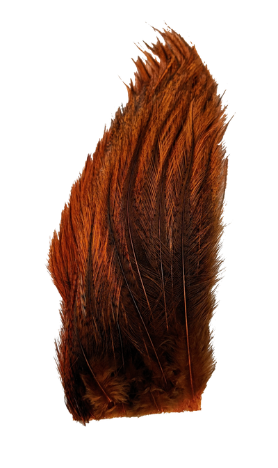 Whiting Tailing Pack Dyed Pardo Burnt Orange Saddle Hackle, Hen Hackle, Asst. Feathers