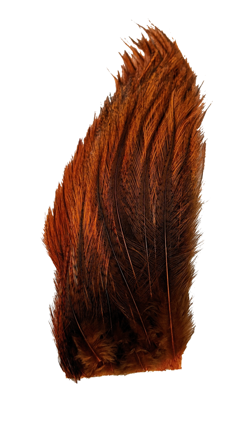 Whiting Tailing Pack Dyed Pardo Burnt Orange Saddle Hackle, Hen Hackle, Asst. Feathers
