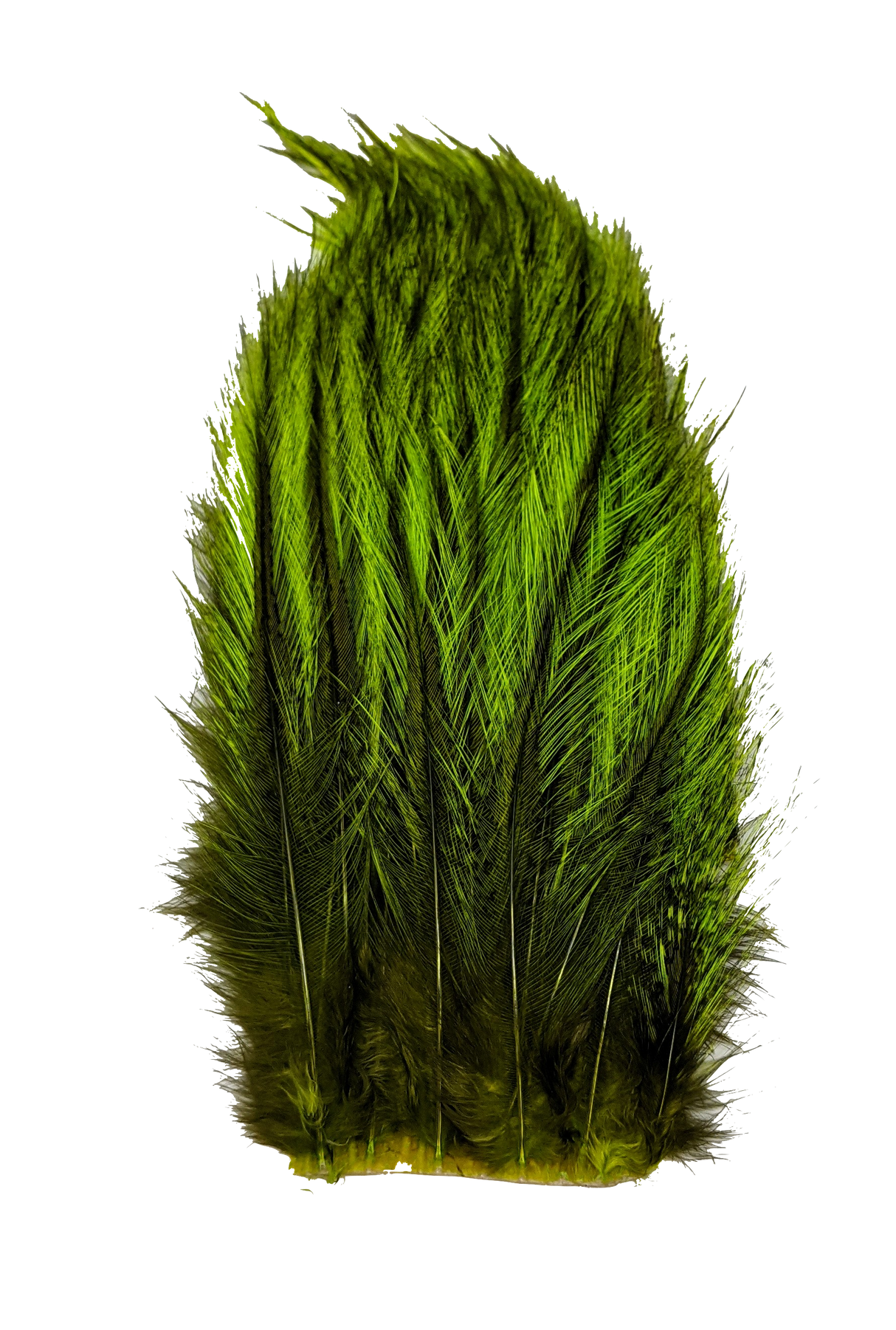 Whiting Tailing Pack Dyed Pardo Fl. Green Chartreuse Saddle Hackle, Hen Hackle, Asst. Feathers