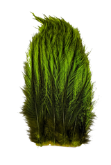 Whiting Tailing Pack Dyed Pardo Fl. Green Chartreuse Saddle Hackle, Hen Hackle, Asst. Feathers