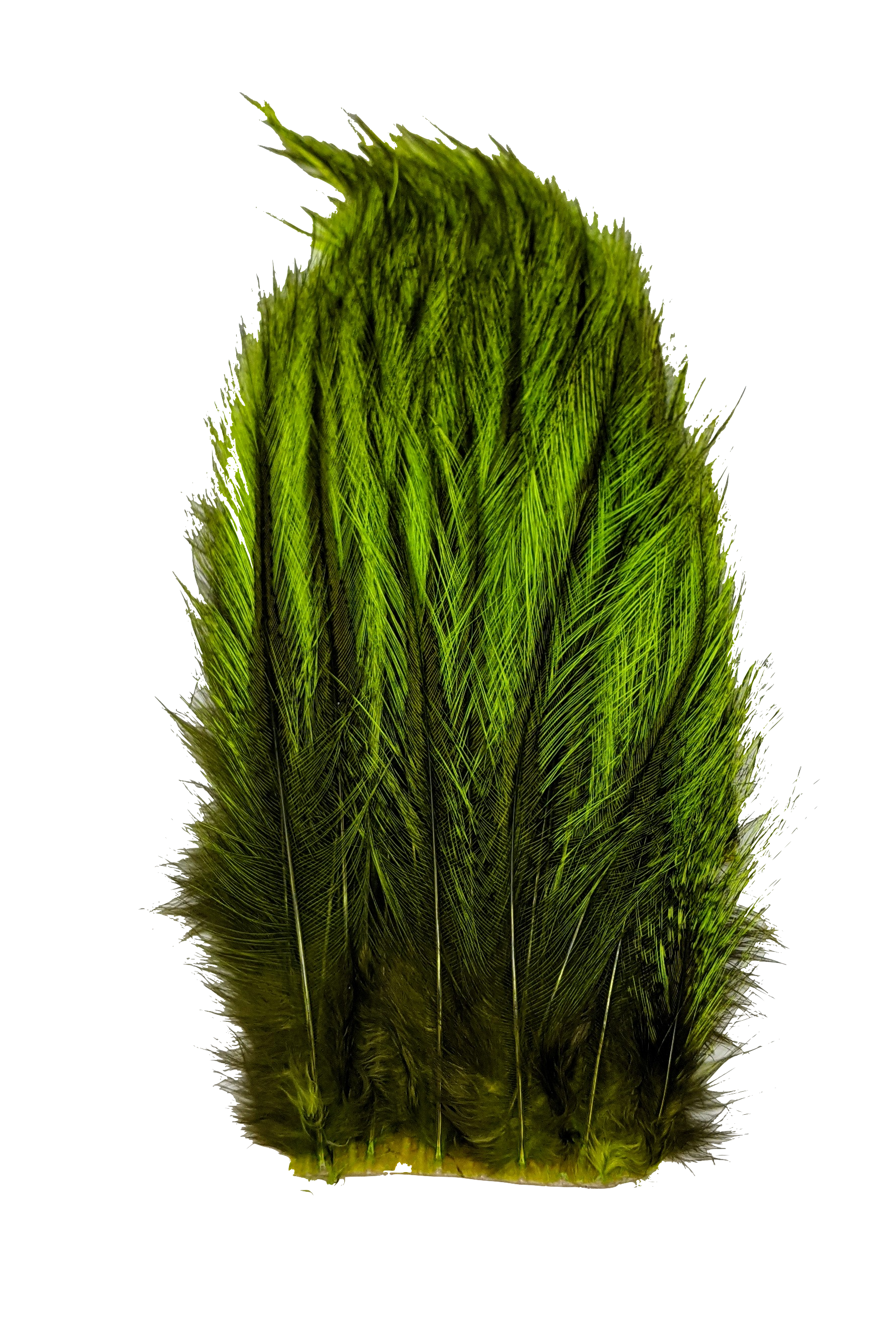 Whiting Tailing Pack Dyed Pardo Fl. Green Chartreuse Saddle Hackle, Hen Hackle, Asst. Feathers