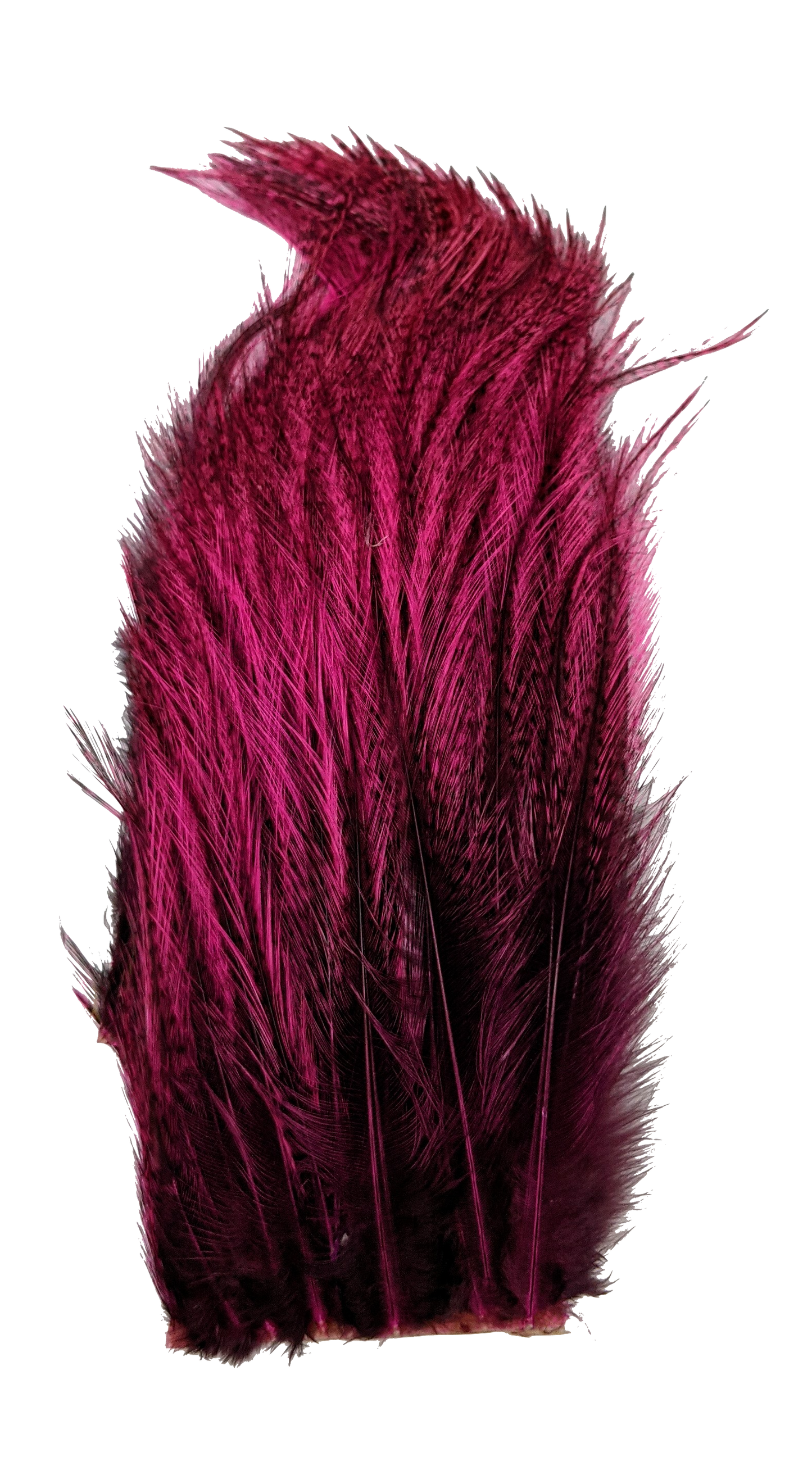 Whiting Tailing Pack Dyed Pardo Pink Saddle Hackle, Hen Hackle, Asst. Feathers