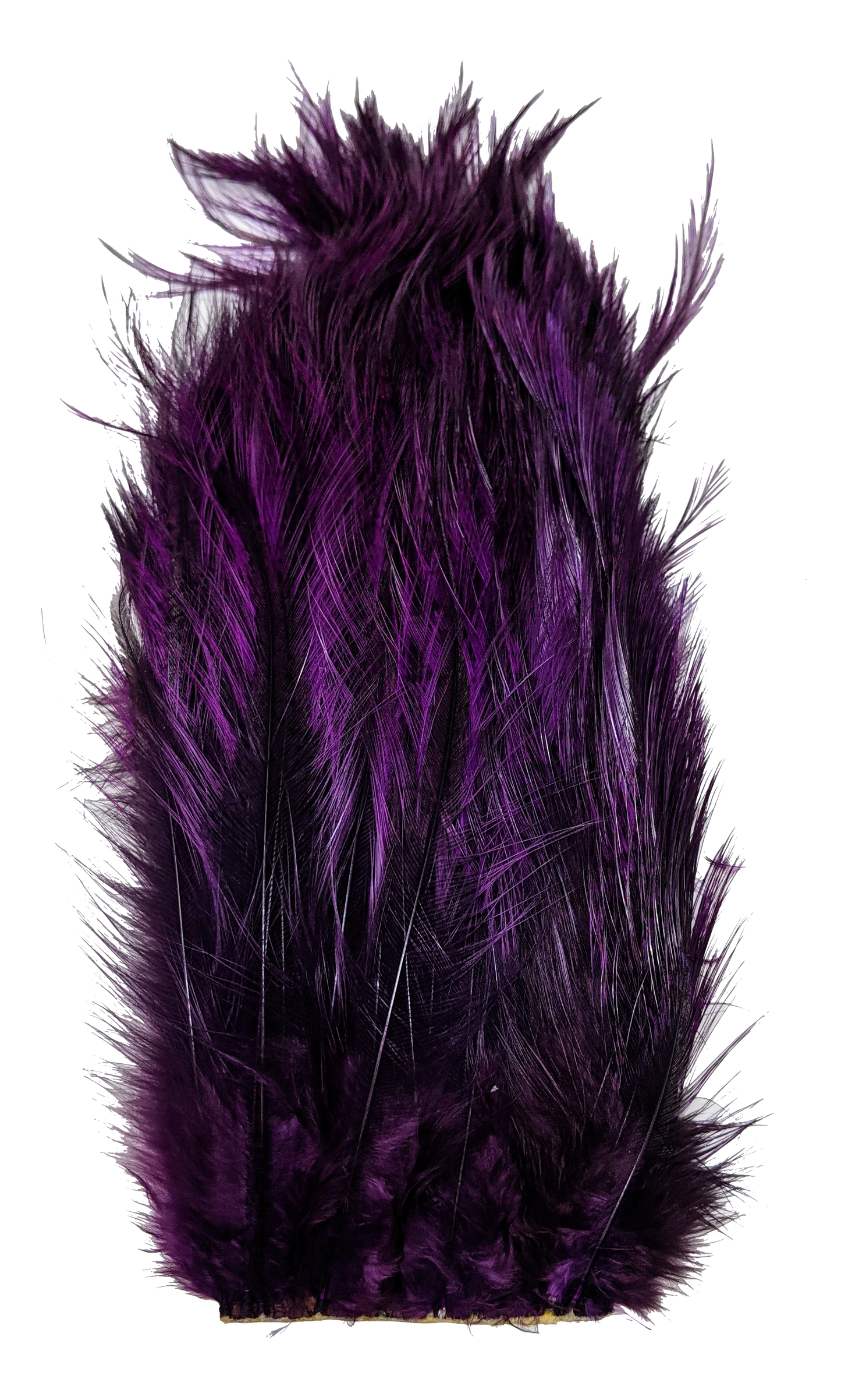 Whiting Tailing Pack Dyed Pardo Purple Saddle Hackle, Hen Hackle, Asst. Feathers