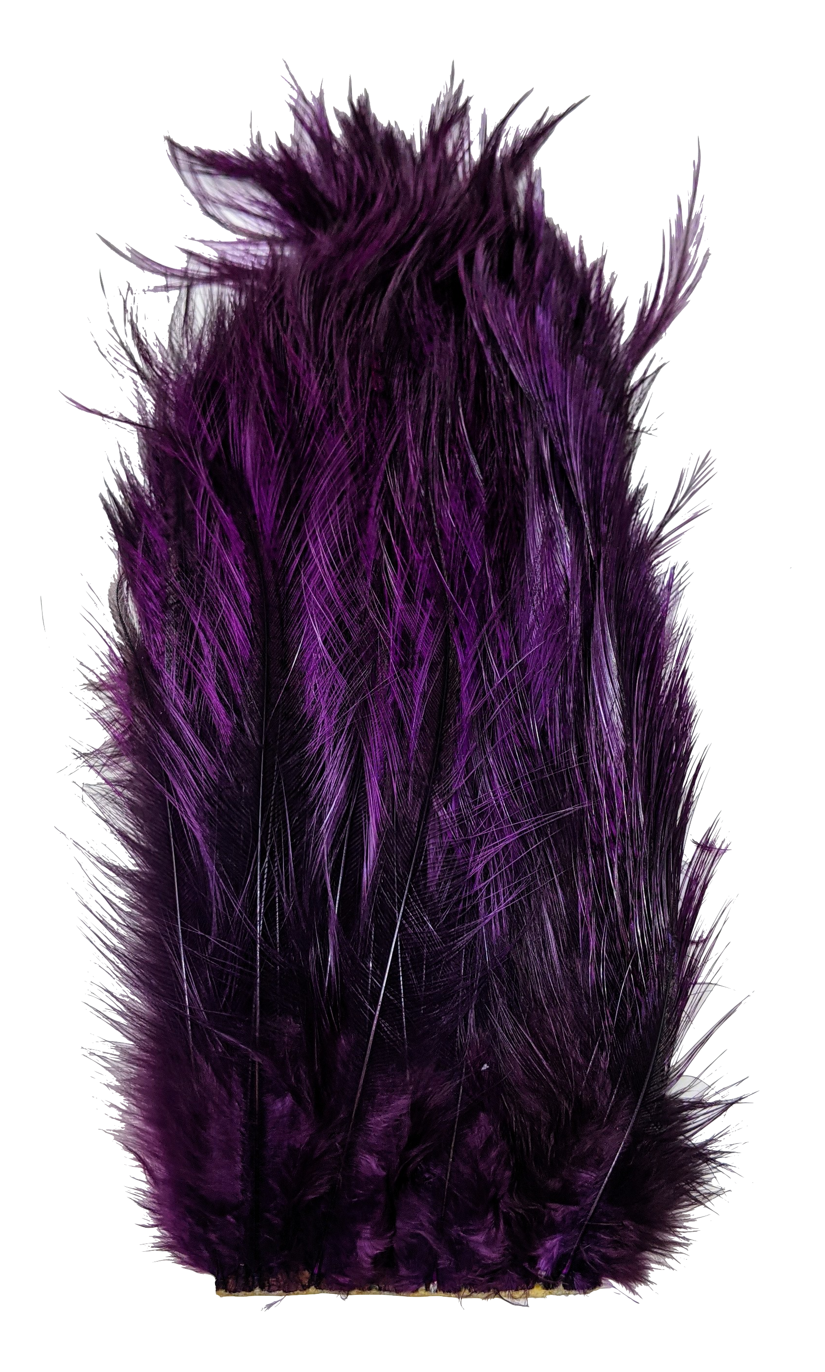 Whiting Tailing Pack Dyed Pardo Purple Saddle Hackle, Hen Hackle, Asst. Feathers