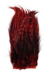 Whiting Tailing Pack Dyed Pardo Red Saddle Hackle, Hen Hackle, Asst. Feathers