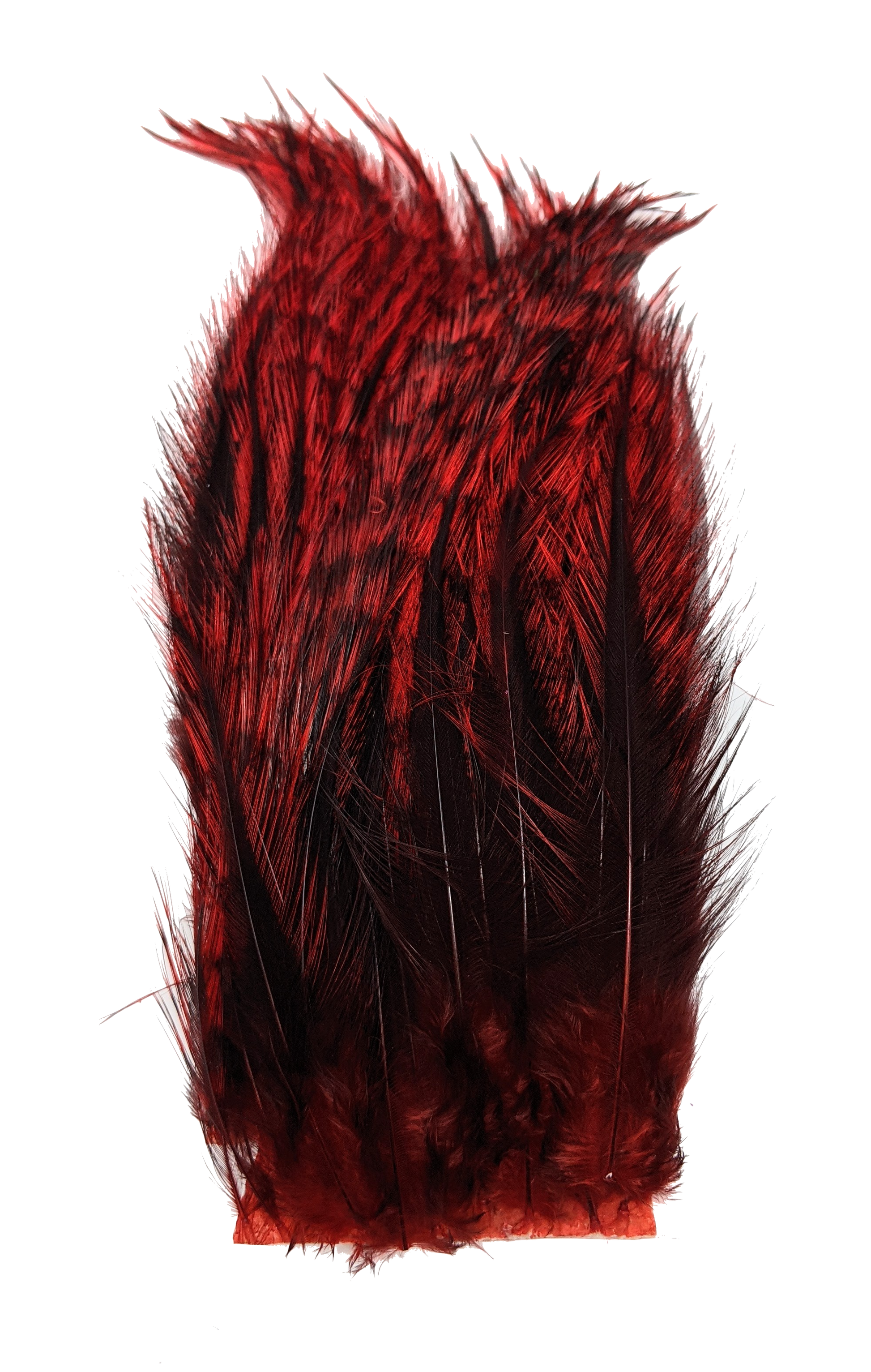 Whiting Tailing Pack Dyed Pardo Red Saddle Hackle, Hen Hackle, Asst. Feathers