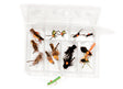 Whitlock's Signature Terrestrial Fly Assortment Flies