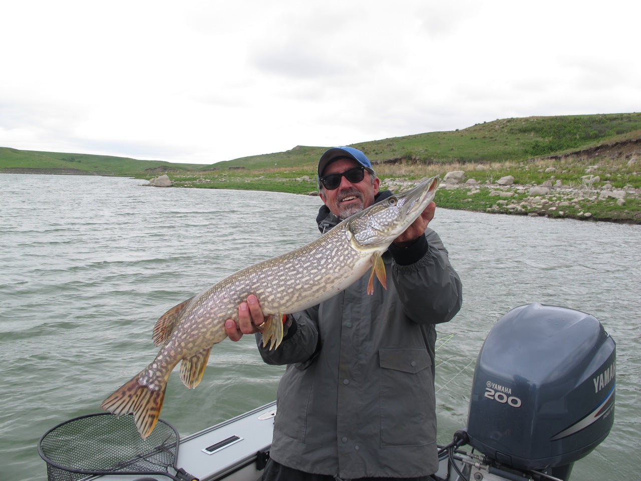 Fish of the Missouri River Dakota Angler & Outfitter Black Hills Fly Fishing